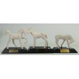 Beswick matt white foals on plinths: to include Adventure 2876, sunlight 2875,