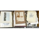 A large collection of unmounted early 20th Century prints: together with plates with landscape,