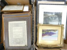 a collection of 19th and early 20th Century framed prints: with still life,