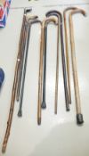A collection of early 20th century Canes and handled walking sticks etc.