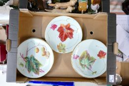 A collection of early 20th Century Hand Decorated Floral Wall Plates(7):