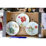 A collection of early 20th Century Hand Decorated Floral Wall Plates(7):