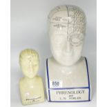 Two reproduction Phrenology by L . G.