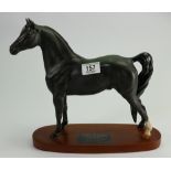 Beswick Connoisseur model of a Morgan Horse : 2605 on wooden plinth