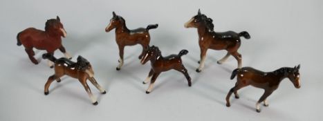 A collection of beswick brown foals: to include shire foal, 815, 9971084, 1817, 1407 (6)