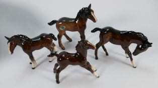 Beswick large foals: to include shire foal, large stretched 836, head down 947 together with a small