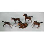 A collection of Bewsick brown foals: to include models 815, 915, 1084, 1816 (1 st version), 836 (5)