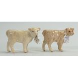 Two Beswick Charolais calves : 1827B