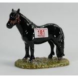 Royal Doulton Shetland Pony: RDa56. boxed with certificate