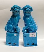 Chinese turquoised glazed lion dogs: height 24.5cm(2)