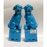 Chinese turquoised glazed lion dogs: height 24.5cm(2)