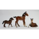 Beswick shire foal 951: Shetland foal 1034 and a foal lying down 2460 (3)