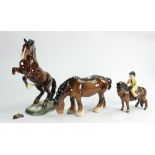 Beswick brown grazing shire: ( 1 ear A/F),