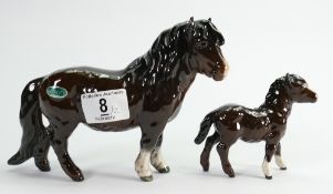 Beswick Shetland pony : 1033 together with Shetland foal 1034 (2)