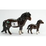 Beswick Shetland pony : 1033 together with Shetland foal 1034 (2)