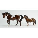 Beswick Stocky jogging horse: 855 together with Shetland Eschonchan Ronay 1648 (boxed) (2)