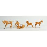 Four Beswick palomino foals: to include lying down, small thoroughbred,