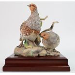 Coalport game bird model of pair of Partridges: Limited edition in 1979,