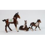 Beswick shire foal 951: Shetland foal 1034 and a foal lying down 2460 (3)