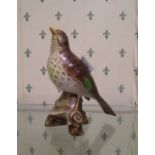 Beswick song thrush: 2308