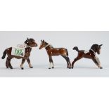 Beswick Shetland foal 1034: together with foal 1816 and 815 (3)