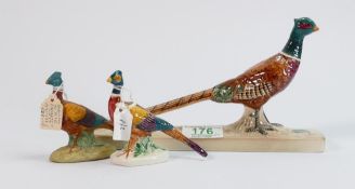 Beswick Pheasant: 1774 together with two pheasants 767 ( one matt ) (3)