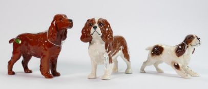 Beswick Cocker Spaniel: 967 together with King Charles spaniel 2107A and a spaniel running 1057 (3)