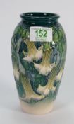 Moorcroft Angel Trumpets vase: Moorcroft collectors piece 1998 by Anji Davenport