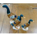 Beswick Mallard ducks: to include 756/1, 756/2a and 756/2 (3)