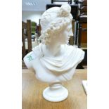 Large Classical Greek Resin Bust: height 32cm