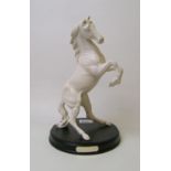 Royal Doulton Horse Spirit Of The Wild: