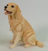 Royal Doulton Boxed Resin Golden Retriever: