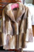 Ladies flank musquash Jacket: approx size 10