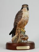 Royal Doulton Limited Edition Peregrine Falcon HN3541: signed with base