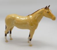 Beswick Stallion: dun gloss issued for the BCC in 2007, boxed