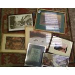 A collection of framed prints: top include landscapes and animal scenes (17)