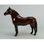 Beswick Dartmoor Pony 1642: