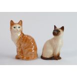 Beswick seated kittens: comprising seated ginger kitten 1031 and seated matte siamese kitten. (2)