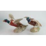 Beswick pheasants models 849 & 850 (2):