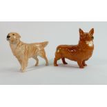 Beswick tan corgi 1299 and Retriever 2287 (2) :