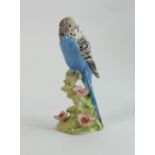 Beswick blue budgie on floral base 1216: (some minor nips to some petal edges)