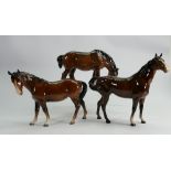 Beswick brown horses: including grazing shire (ear chipped), swish tail and mare facing left. (3)