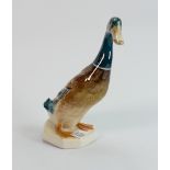 Beswick large mallard standing 902: