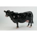 Beswick Black Galloway Cow 4113B: BCC2002, boxed