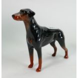 Beswick model of a Doberman Pinscher 3121: