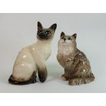 Beswick seated grey persian cat 1867: and Siamese cat 1882. (2)