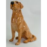 Beswick fireside model of golden Labrador 2314: