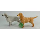 Beswick Labrador 1548 and Grey Setter 973 (2):