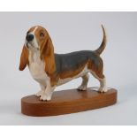 Beswick connoisseur model of a Basset Hound: 2045B on wood plinth.