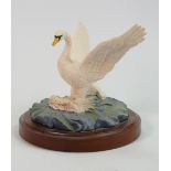 Beswick studio sculpture of a Swan: Happy Ladings on wood plinth.